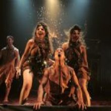 בוגרי מחזור 2014 בתיאטרון גשר בהצגה "חוות החיות"