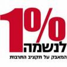 המאבק להגדלת תקציב התרבות