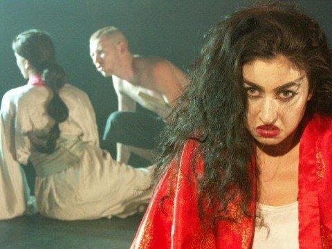 רשומון – מאת פיי ומייקל קאנין – מחזור 2006