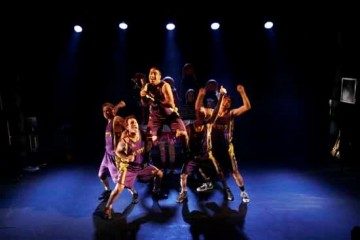 צעדים – מאת גיל צרנוביץ – מחזור 2008